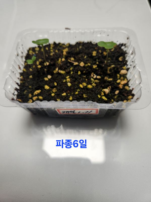 ddd27524f32439e816e265b614ee2998_1750540